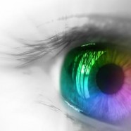 Biblical Manhood in Application: Are There Two Competing Visions for Biblical Manhood?