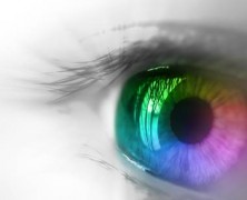 Biblical Manhood in Application: Are There Two Competing Visions for Biblical Manhood?