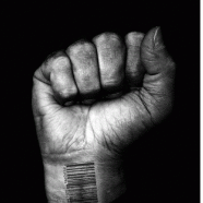 The Reformation and Civil Disobedience: Guest Post