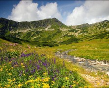 Contentment: Reflections on one of our Missing Virtues