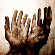 Suffering and Solidarity