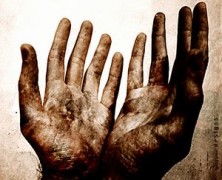 Suffering and Solidarity