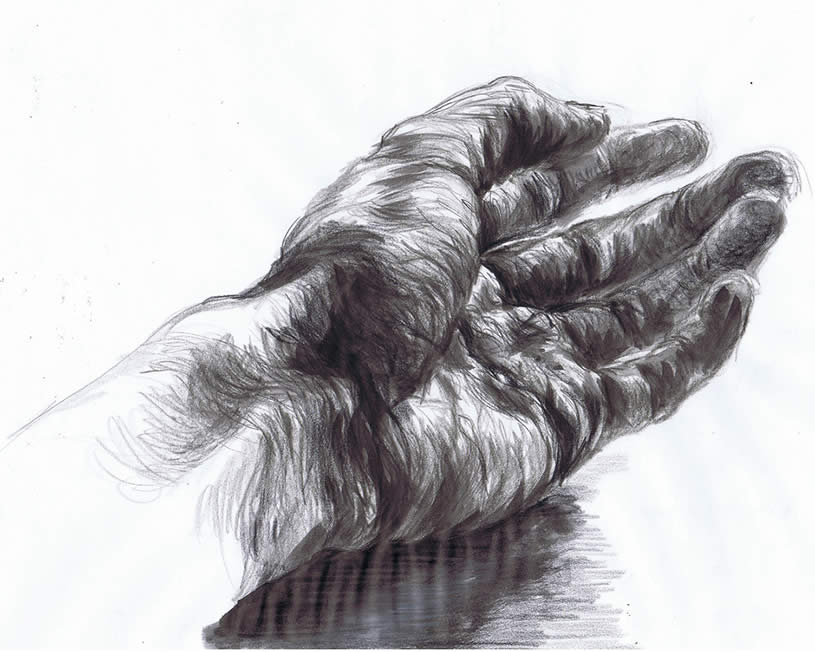 Doing Theology With SNL (Guest Post)