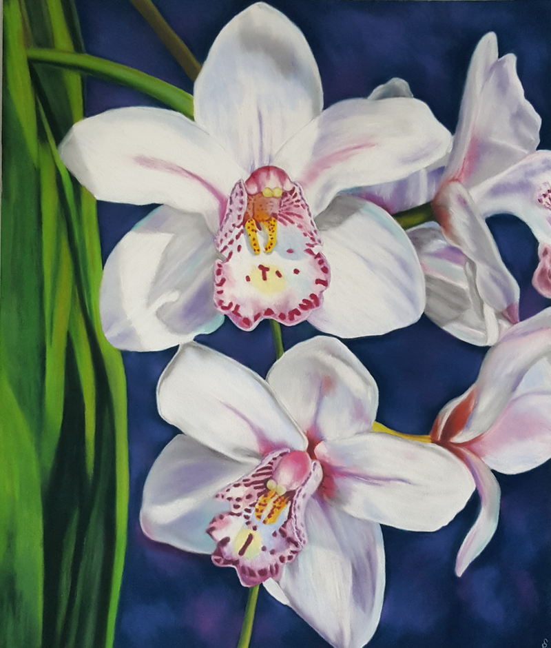 Doing Theology with the NFL (Guest Post)