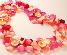 Happy Valentine’s Day! (Guest Post)