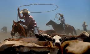 Around the Town: Weekly Round Up