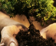 What to Think About Church Growth