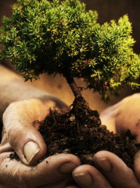 What to Think About Church Growth