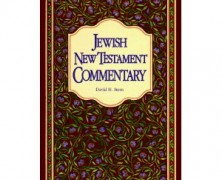 Reflections on the Value of Jewish Studies