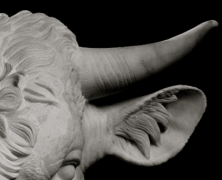 Raging Bull: How the Bible Bashed my Face In