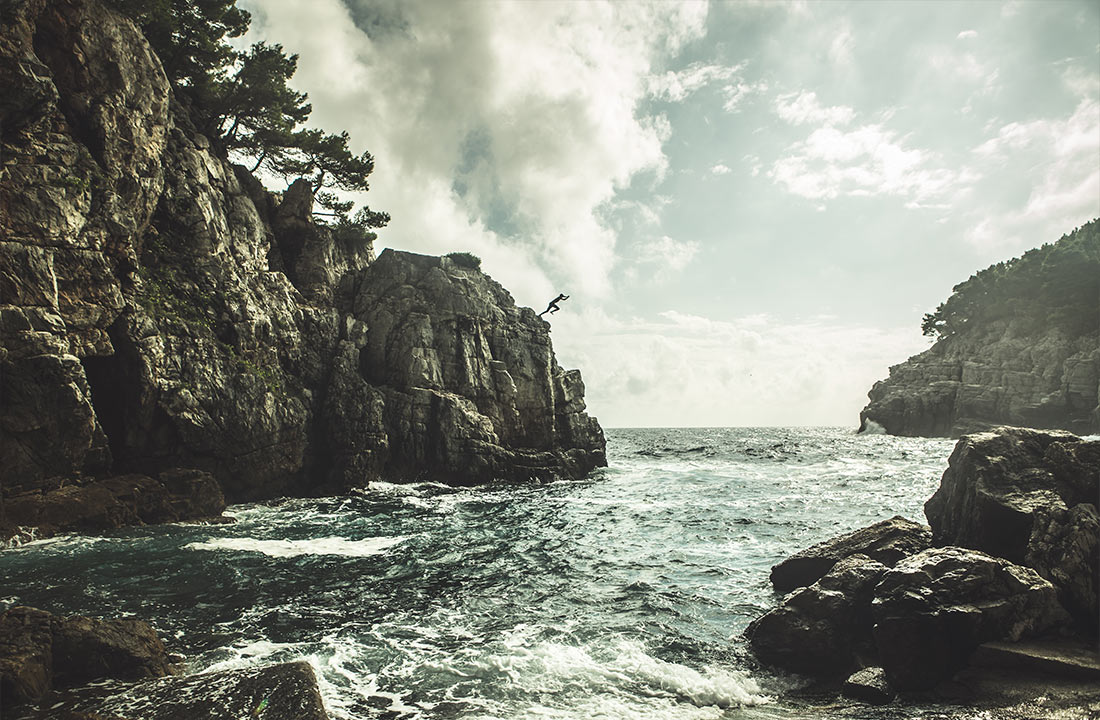 Choosing to Purr in the Stress of a Dog-Eat-Dog World”