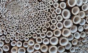 If “Better is one Day”… how sweet it is that “One Day” is “Every Day…”