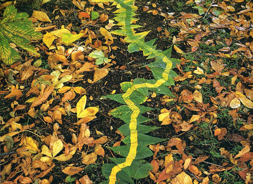 “Being Poor doesn’t make you any Holier… or does it?”