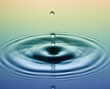 A Mindful Lent