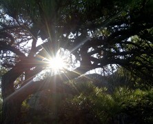 He is Risen Indeed!