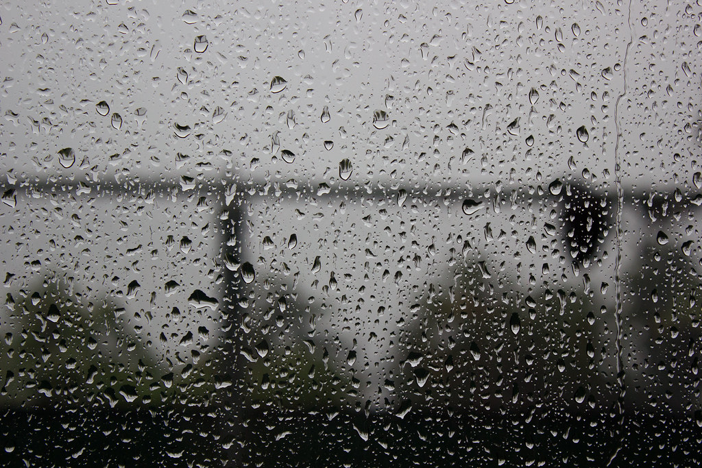 Hummingbird – Local Natives (Guest Post)