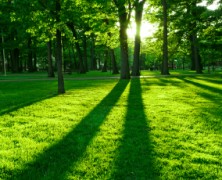 Small Acts of Faithfulness