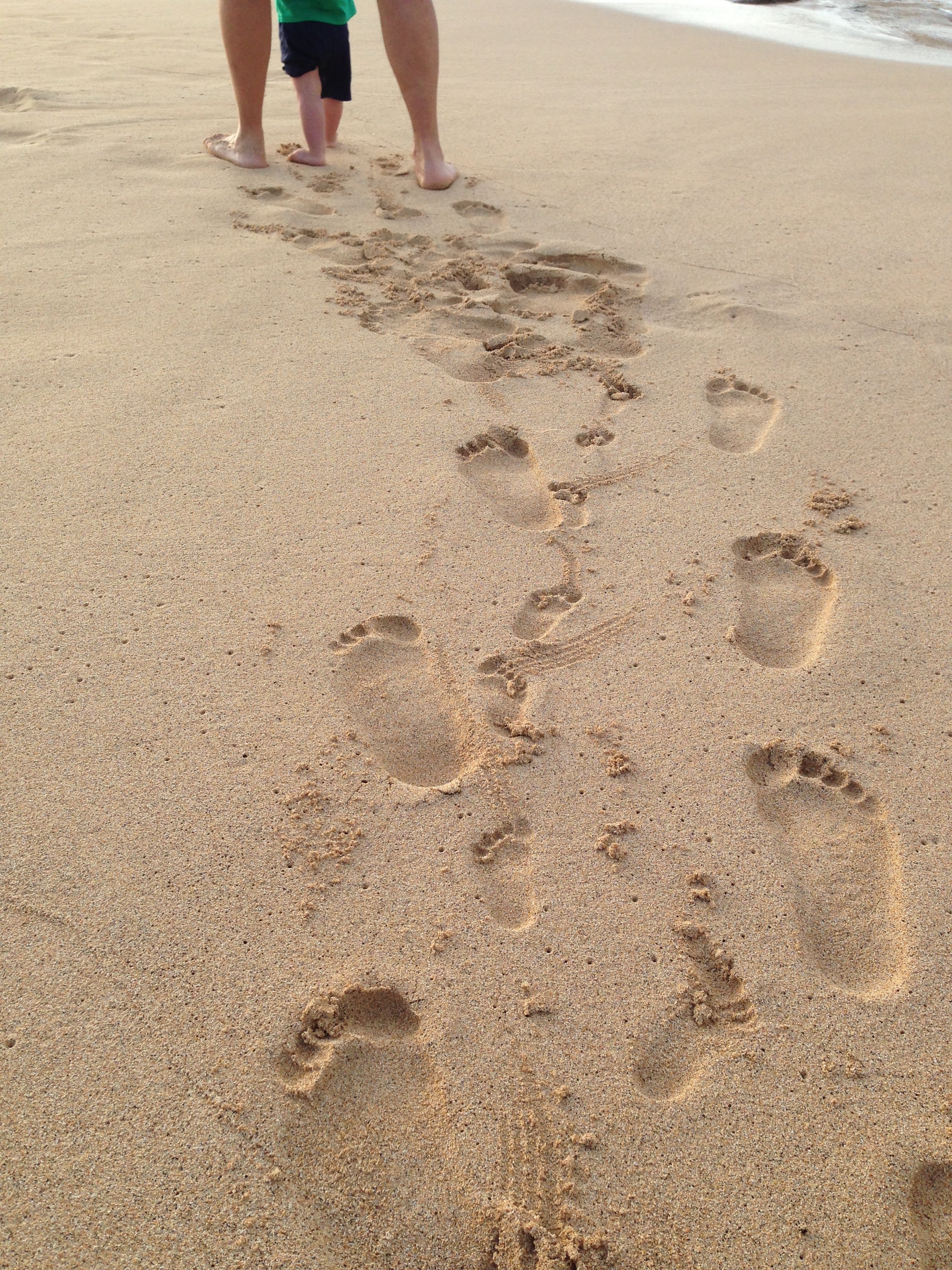 Sandy Toes and Solid Ground