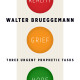 Review of Reality, Grief, Hope: Three Urgent Prophetic Tasks by Walter Brueggemann