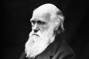 Darwin Defines Beauty