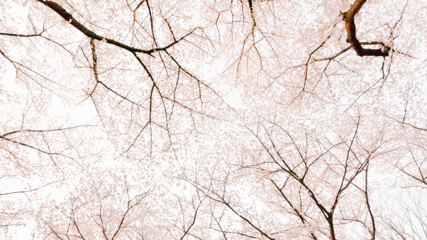 How to Argue from the Bible Poorly