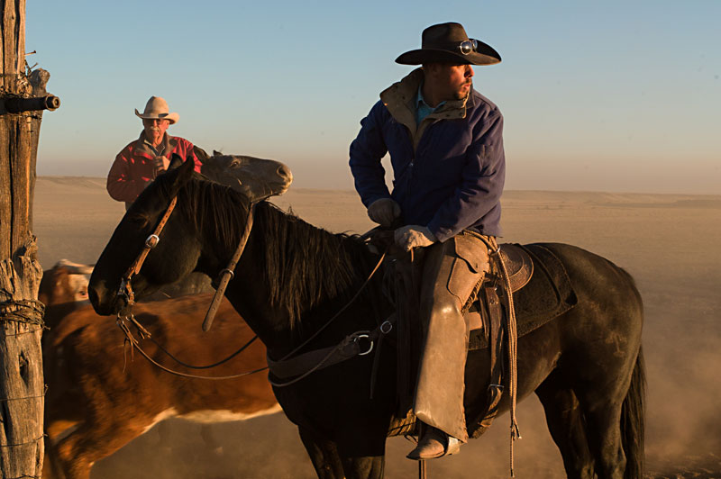 Around the Town: Weekly Round-up #2 (2012)