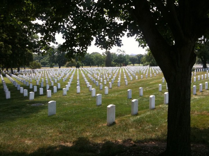 A Freedom That Lasts