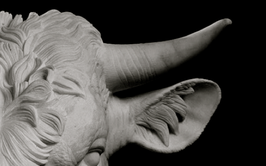 Raging Bull: How the Bible Bashed my Face In