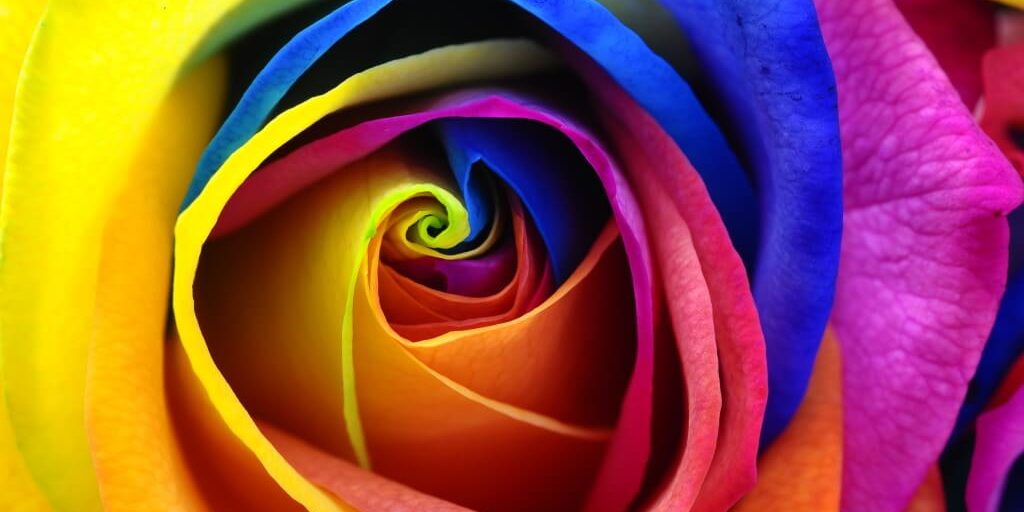 Paul, the Gladiator Apostle?