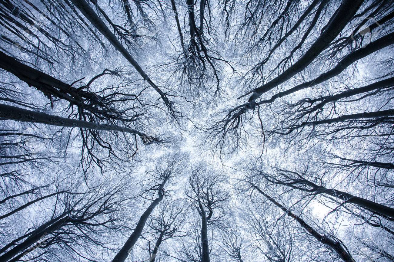 Parental Advisory: What is your Child Learning in Sunday School?