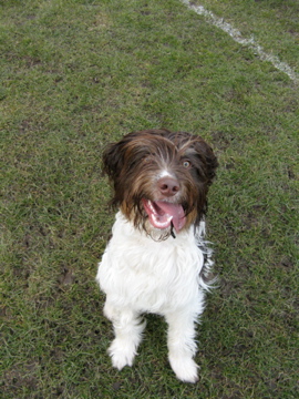 2 Years In Scotland: The start of some reflections