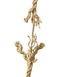 My Most Difficult Month