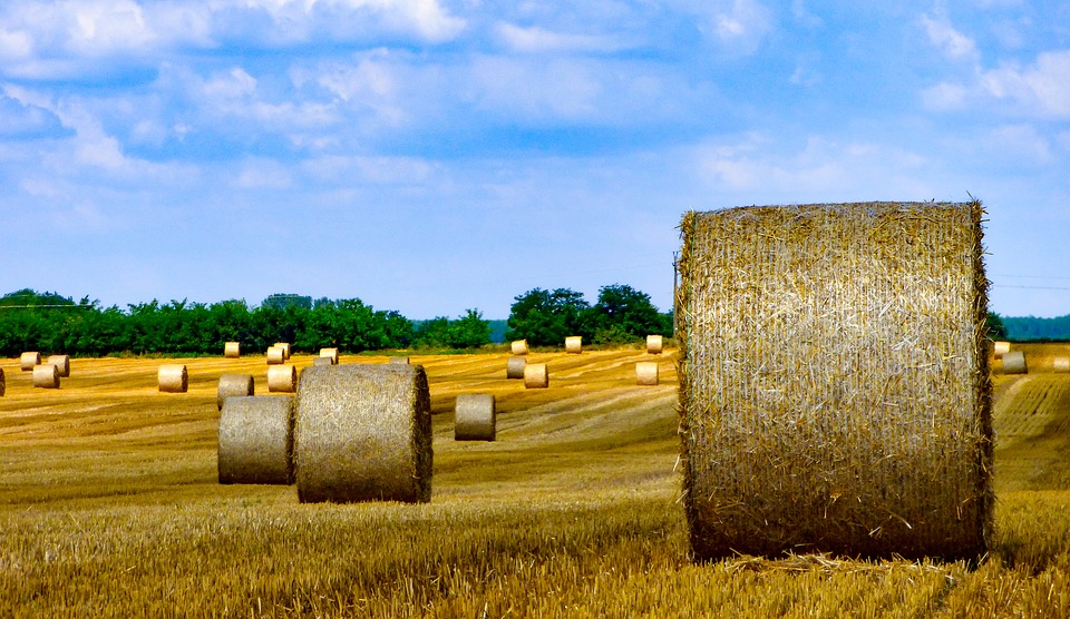 “Hurrahing in Harvest”: Exploring an ‘inChristed’ Reality