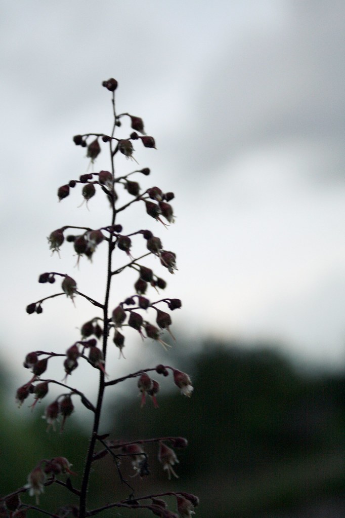 Perseverance in Perspective: Inaugurated Eschatology Equals Inaugurated Judgment